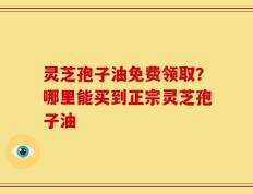 灵芝孢子油免费领取？哪里能买到正宗灵芝孢子油