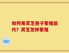 如何用灵芝孢子繁殖后代？灵芝怎样繁殖