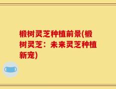 椴树灵芝种植前景(椴树灵芝：未来灵芝种植新宠)
