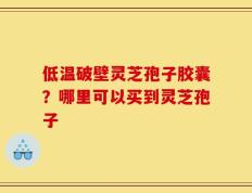 低温破壁灵芝孢子胶囊？哪里可以买到灵芝孢子
