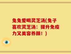 兔兔爱喝灵芝汤(兔子喜欢灵芝汤：提升免疫力又美容养颜！)