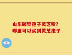 山东破壁孢子灵芝粉？哪里可以买到灵芝孢子