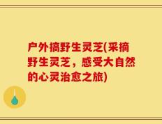 户外搞野生灵芝(采摘野生灵芝，感受大自然的心灵治愈之旅)