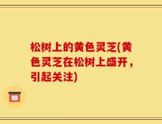 松树上的黄色灵芝(黄色灵芝在松树上盛开，引起关注)