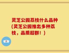 灵芝公园荔枝什么品种(灵芝公园推出多种荔枝，品质超群！)