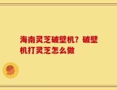 海南灵芝破壁机？破壁机打灵芝怎么做