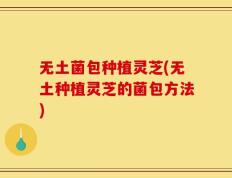 无土菌包种植灵芝(无土种植灵芝的菌包方法)