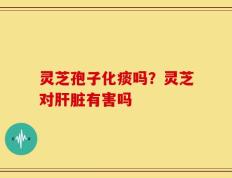 灵芝孢子化痰吗？灵芝对肝脏有害吗