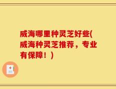 威海哪里种灵芝好些(威海种灵芝推荐，专业有保障！)