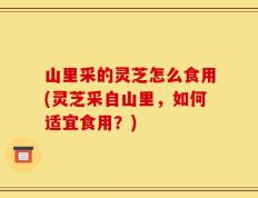 山里采的灵芝怎么食用(灵芝采自山里，如何适宜食用？)