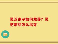 灵芝孢子如何发芽？灵芝嫩芽怎么出芽