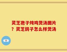 灵芝孢子炖鸡煲汤图片？灵芝鸽子怎么样煲汤