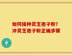 如何接种灵芝孢子粉？冲灵芝孢子粉正确步骤
