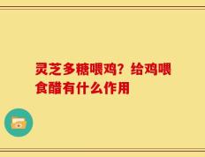 灵芝多糖喂鸡？给鸡喂食醋有什么作用