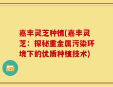 嘉丰灵芝种植(嘉丰灵芝：探秘重金属污染环境下的优质种植技术)
