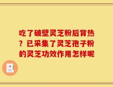 吃了破壁灵芝粉后背热？已采集了灵芝孢子粉的灵芝功效作用怎样呢