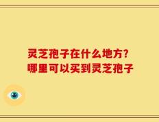 灵芝孢子在什么地方？哪里可以买到灵芝孢子