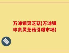 万滩镇灵芝菇(万滩镇珍贵灵芝菇引爆市场)