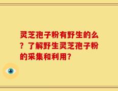 灵芝孢子粉有野生的么？了解野生灵芝孢子粉的采集和利用？