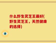 什么野生灵芝王最好(野生灵芝王，天然健康的选择)