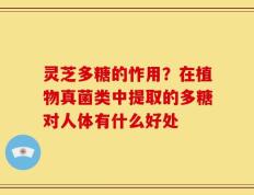 灵芝多糖的怍用？在植物真菌类中提取的多糖对人体有什么好处