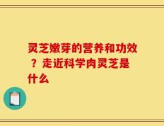 灵芝嫩芽的营养和功效 ？走近科学肉灵芝是什么