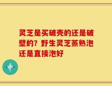 灵芝是买破壳的还是破壁的？野生灵芝蒸熟泡还是直接泡好