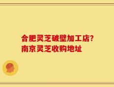 合肥灵芝破壁加工店？南京灵芝收购地址
