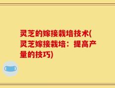 灵芝的嫁接栽培技术(灵芝嫁接栽培：提高产量的技巧)