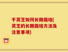 干灵芝如何长期栽培(灵芝的长期栽培方法及注意事项)