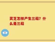 灵芝怎样产生三萜？什么是三萜