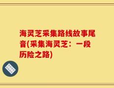 海灵芝采集路线故事尾音(采集海灵芝：一段历险之路)