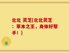 北北 灵芝(北北灵芝：草本之王，身体好帮手！)