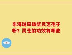 东海瑞草破壁灵芝孢子粉？灵芝的功效有哪些