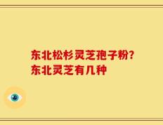 东北松杉灵芝孢子粉？东北灵芝有几种