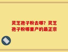 灵芝孢子粉去哪？灵芝孢子粉哪里产的最正宗
