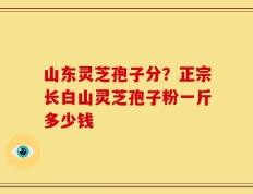 山东灵芝孢子分？正宗长白山灵芝孢子粉一斤多少钱