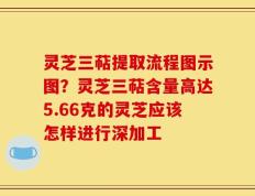 灵芝三萜提取流程图示图？灵芝三萜含量高达5.66克的灵芝应该怎样进行深加工