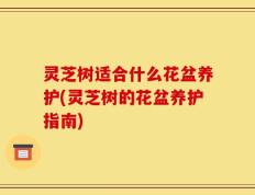 灵芝树适合什么花盆养护(灵芝树的花盆养护指南)