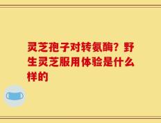 灵芝孢子对转氨酶？野生灵芝服用体验是什么样的