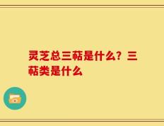 灵芝总三萜是什么？三萜类是什么