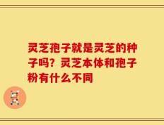 灵芝孢子就是灵芝的种子吗？灵芝本体和孢子粉有什么不同