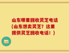 山东哪里回收灵芝电话(山东想卖灵芝？这里提供灵芝回收电话！)