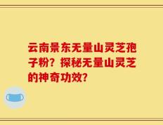云南景东无量山灵芝孢子粉？探秘无量山灵芝的神奇功效？
