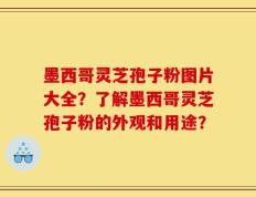 墨西哥灵芝孢子粉图片大全？了解墨西哥灵芝孢子粉的外观和用途？