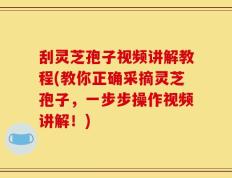 刮灵芝孢子视频讲解教程(教你正确采摘灵芝孢子，一步步操作视频讲解！)