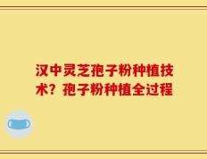 汉中灵芝孢子粉种植技术？孢子粉种植全过程
