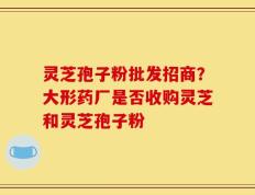 灵芝孢子粉批发招商？大形药厂是否收购灵芝和灵芝孢子粉