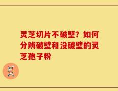 灵芝切片不破壁？如何分辨破壁和没破壁的灵芝孢子粉
