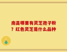 南昌哪里有灵芝孢子粉？红色灵芝是什么品种
